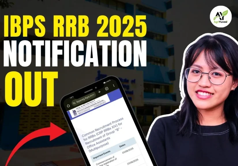 IBPS RRB notification out