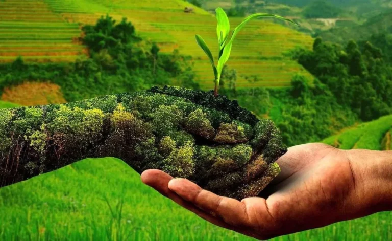 Natural Farming