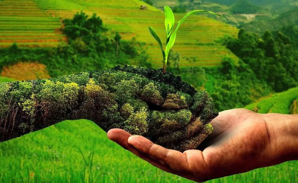 Natural Farming