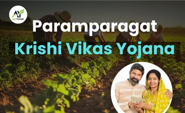 Paramparagat-Krishi-Vikas-Yojana