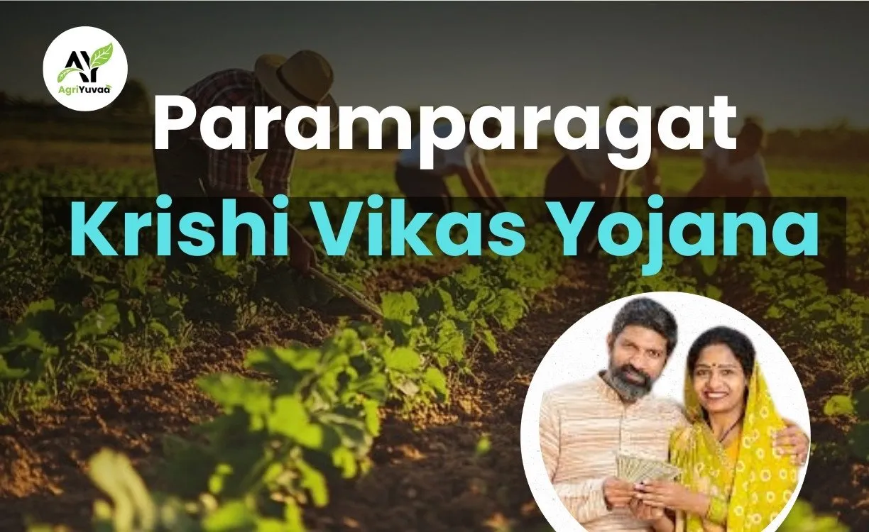 Paramparagat-Krishi-Vikas-Yojana