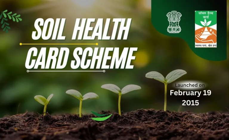 SHC-card-card-scheme