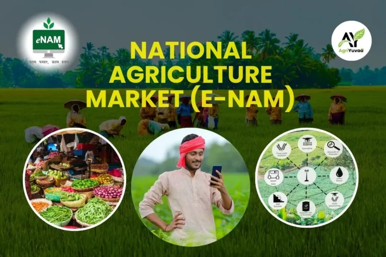 e-NAM Scheme_