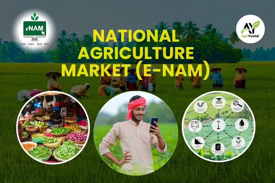 e-NAM Scheme_