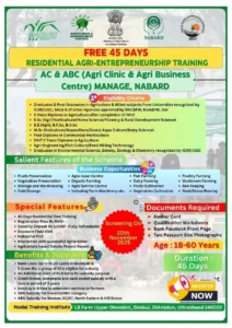 Untitled design (15)