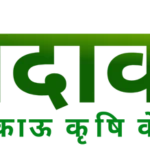 Paidavaar