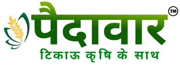 PAIDAVAAR