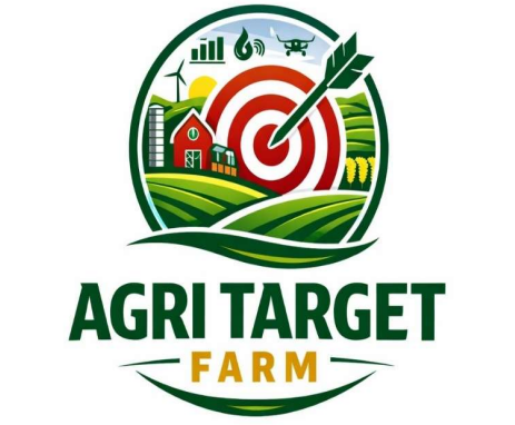 logo2