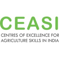 Program Manager