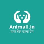 Animall