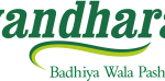 Gyandhara