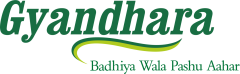 Sales Executive